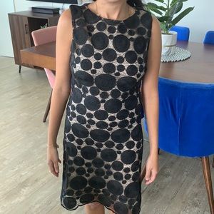 Alice & Olivia Black beige dress